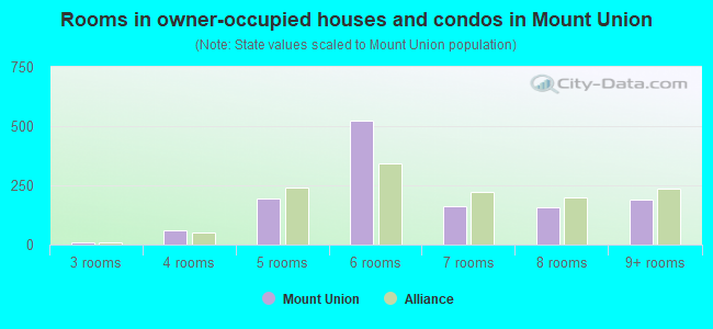 Rooms in owner-occupied houses and condos in Mount Union