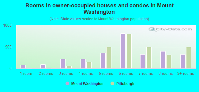 Rooms in owner-occupied houses and condos in Mount Washington