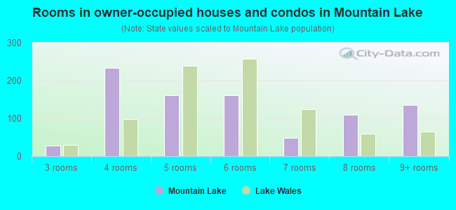 Rooms in owner-occupied houses and condos in Mountain Lake