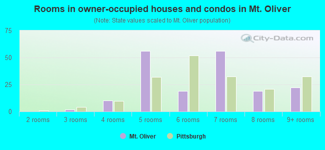 Rooms in owner-occupied houses and condos in Mt. Oliver