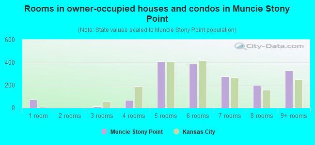 Rooms in owner-occupied houses and condos in Muncie Stony Point