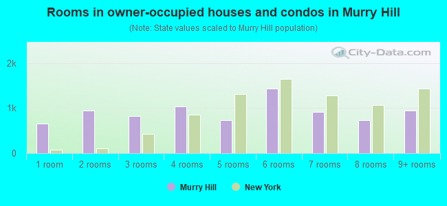 Rooms in owner-occupied houses and condos in Murry Hill