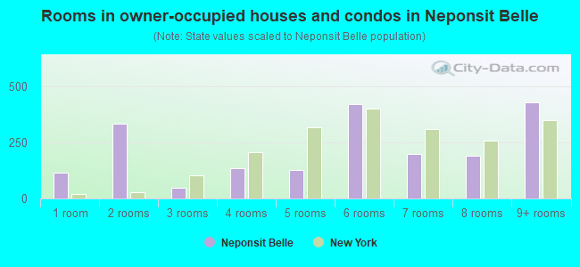 Rooms in owner-occupied houses and condos in Neponsit  Belle