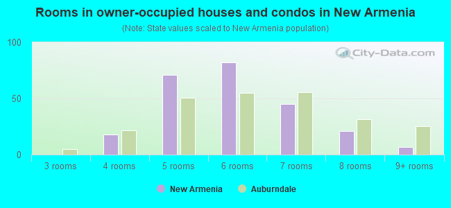 Rooms in owner-occupied houses and condos in New Armenia