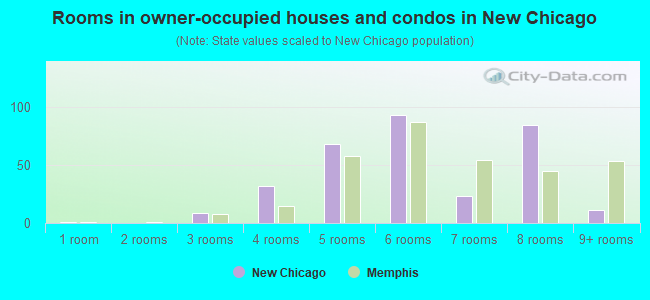 Rooms in owner-occupied houses and condos in New Chicago