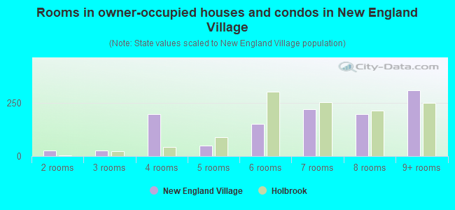 Rooms in owner-occupied houses and condos in New England Village
