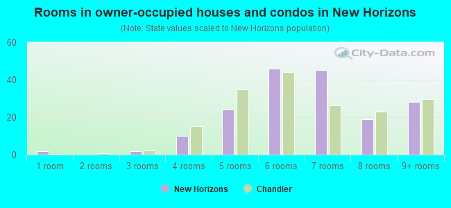Rooms in owner-occupied houses and condos in New Horizons
