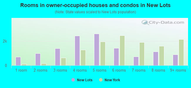 Rooms in owner-occupied houses and condos in New Lots