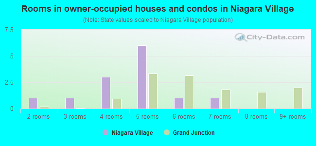 Rooms in owner-occupied houses and condos in Niagara Village