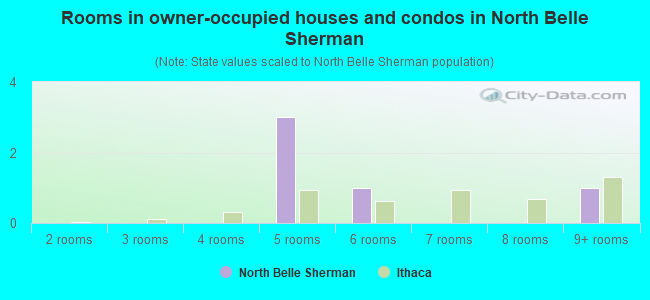 Rooms in owner-occupied houses and condos in North Belle Sherman