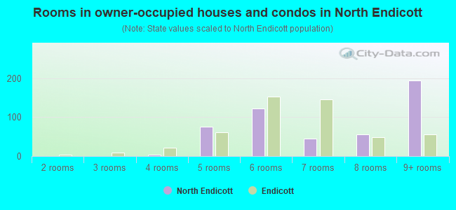 Rooms in owner-occupied houses and condos in North Endicott