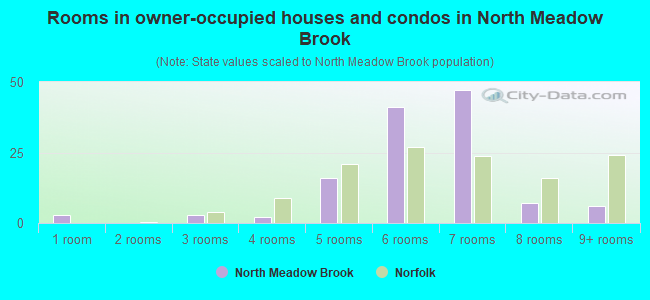 Rooms in owner-occupied houses and condos in North Meadow Brook