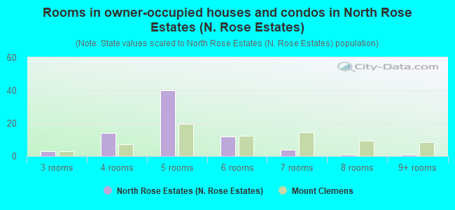 Rooms in owner-occupied houses and condos in North Rose Estates (N. Rose Estates)