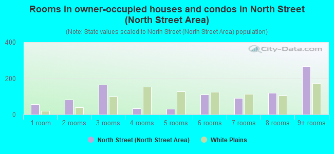 Rooms in owner-occupied houses and condos in North Street (North Street Area)