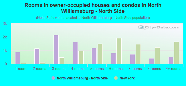 Rooms in owner-occupied houses and condos in North Williamsburg - North Side