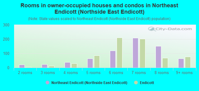 Rooms in owner-occupied houses and condos in Northeast Endicott (Northside East Endicott)