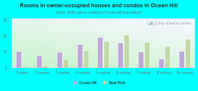 Rooms in owner-occupied houses and condos in Ocean Hill