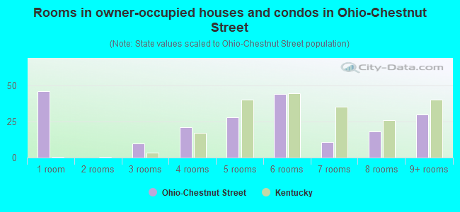 Rooms in owner-occupied houses and condos in Ohio-Chestnut Street
