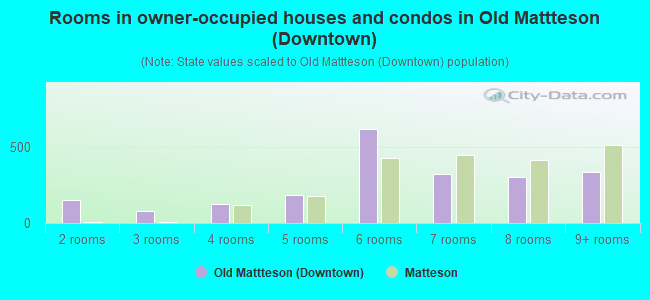 Rooms in owner-occupied houses and condos in Old Mattteson (Downtown)