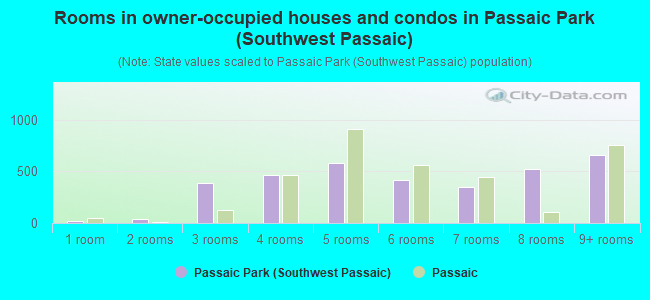 Rooms in owner-occupied houses and condos in Passaic Park (Southwest Passaic)