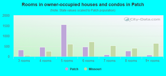 Rooms in owner-occupied houses and condos in Patch