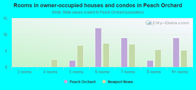 Rooms in owner-occupied houses and condos in Peach Orchard