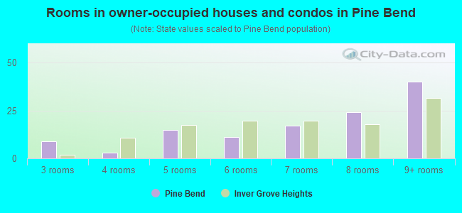 Rooms in owner-occupied houses and condos in Pine Bend