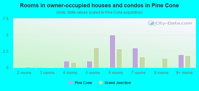 Rooms in owner-occupied houses and condos in Pine Cone