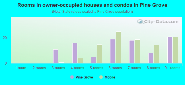 Rooms in owner-occupied houses and condos in Pine Grove
