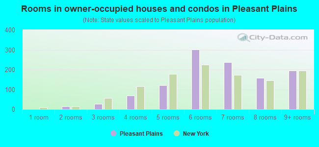 Rooms in owner-occupied houses and condos in Pleasant Plains