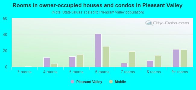 Rooms in owner-occupied houses and condos in Pleasant Valley