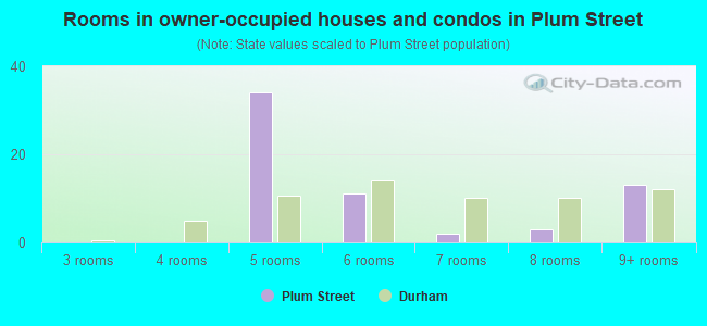 Rooms in owner-occupied houses and condos in Plum Street