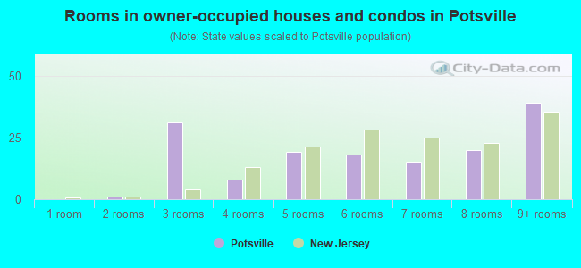 Rooms in owner-occupied houses and condos in Potsville