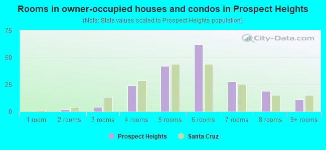 Rooms in owner-occupied houses and condos in Prospect Heights
