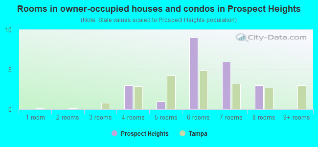 Rooms in owner-occupied houses and condos in Prospect Heights