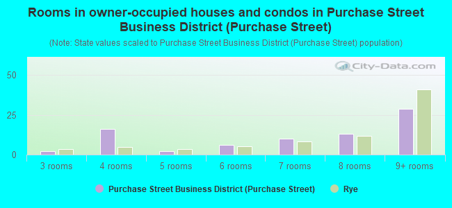 Rooms in owner-occupied houses and condos in Purchase Street Business District (Purchase Street)
