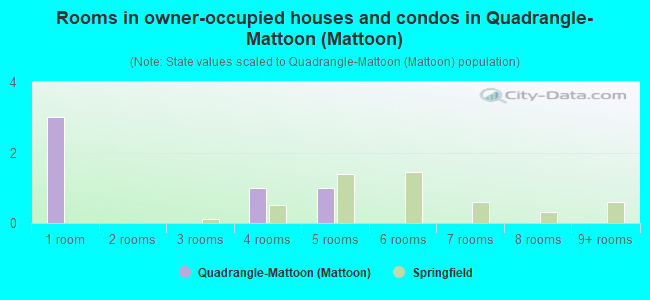 Rooms in owner-occupied houses and condos in Quadrangle-Mattoon (Mattoon)