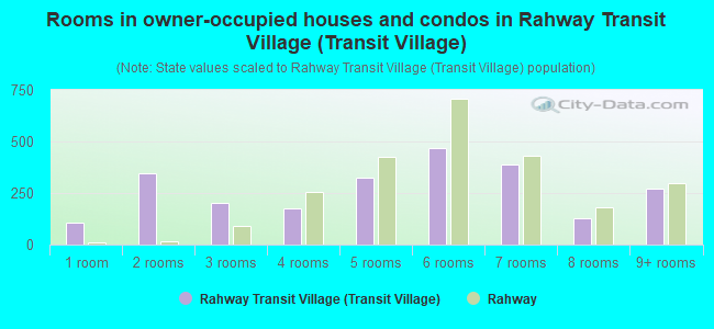 Rooms in owner-occupied houses and condos in Rahway Transit Village (Transit Village)