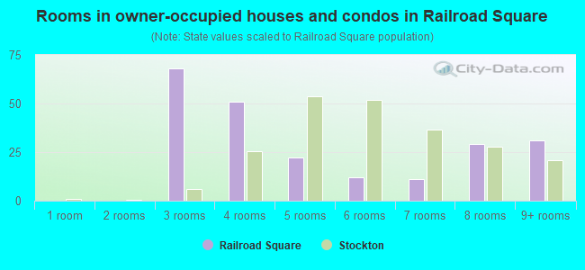 Rooms in owner-occupied houses and condos in Railroad Square