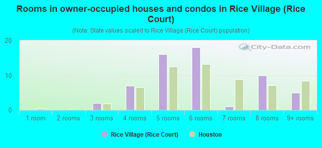 Rooms in owner-occupied houses and condos in Rice Village (Rice Court)