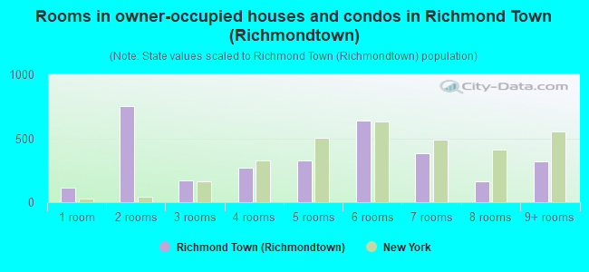 Rooms in owner-occupied houses and condos in Richmond Town (Richmondtown)