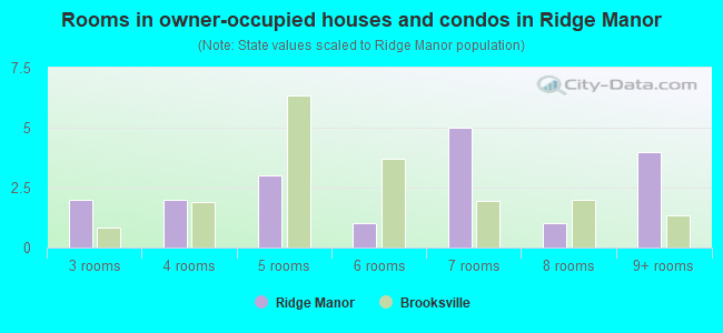 Rooms in owner-occupied houses and condos in Ridge Manor