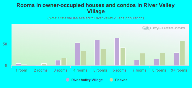 Rooms in owner-occupied houses and condos in River Valley Village