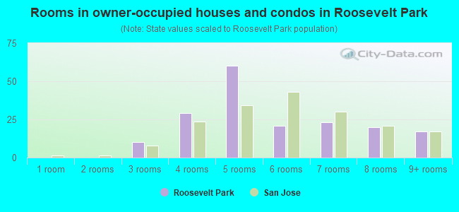 Rooms in owner-occupied houses and condos in Roosevelt Park