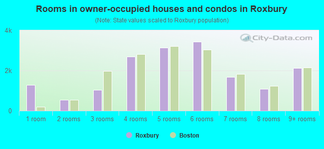 Rooms in owner-occupied houses and condos in Roxbury