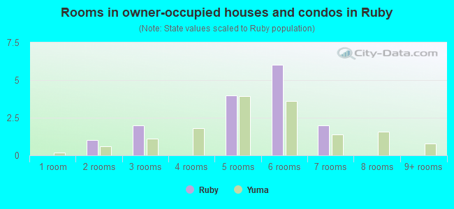 Rooms in owner-occupied houses and condos in Ruby
