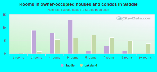 Rooms in owner-occupied houses and condos in Saddle