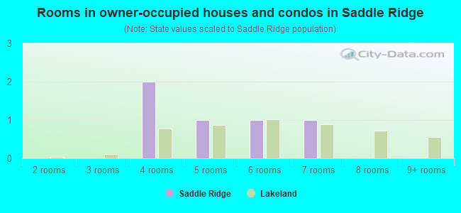 Rooms in owner-occupied houses and condos in Saddle Ridge
