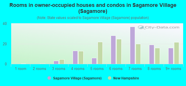 Rooms in owner-occupied houses and condos in Sagamore Village (Sagamore)