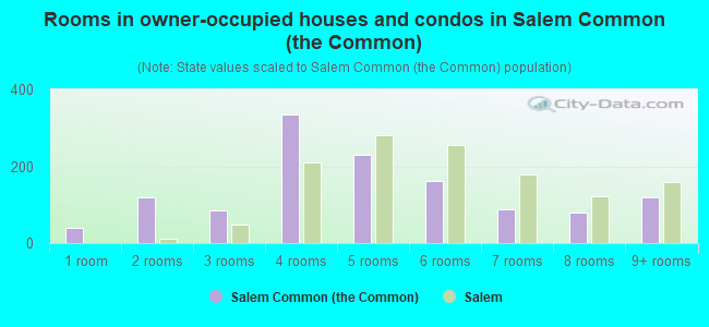 Rooms in owner-occupied houses and condos in Salem Common (the Common)